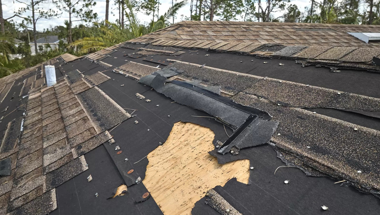 Nova Build and Design Shower